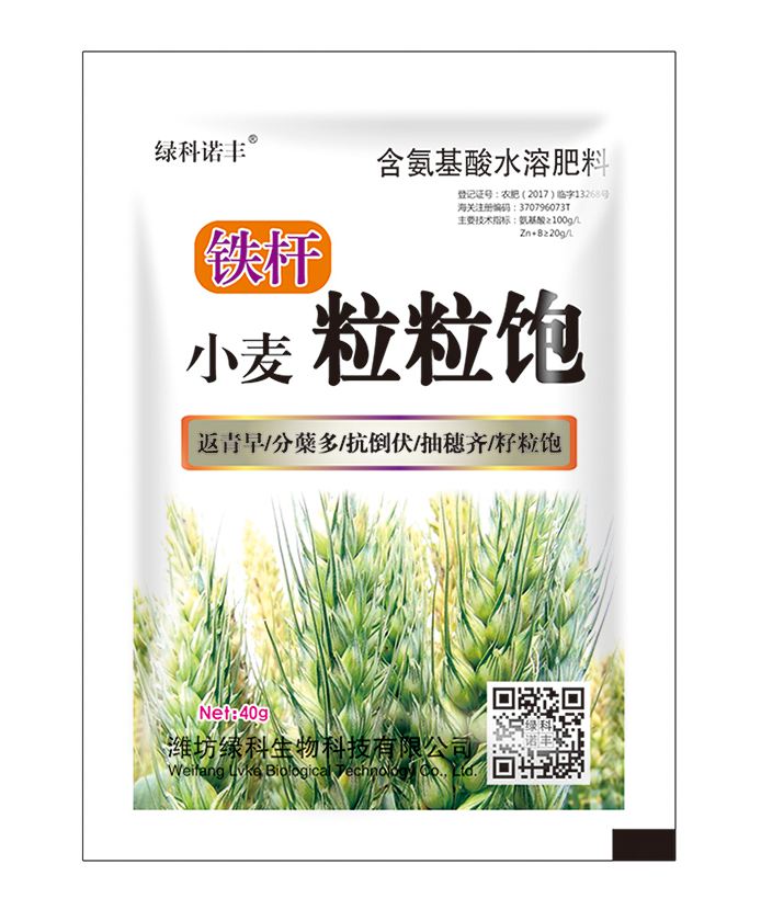 铁杆 小麦粒粒饱 40g单袋 含氨基酸水溶肥料 公海jc710官网